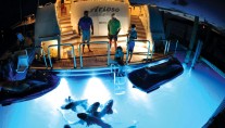 ARIOSO -  Feeding the fish at night